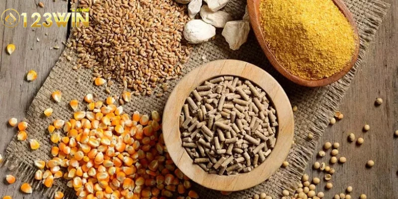 Các loại thức ăn dinh dưỡng cao dành cho các chiến kê